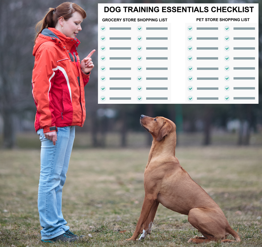 Dog Training Lead Magnet